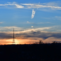 London/Forest Hill/DSC_8118.JPG